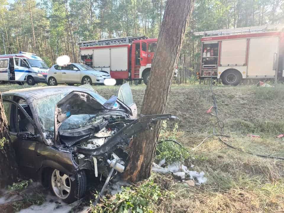 Samochód uderzył w drzewo. Nie żyje 14-letni pasażer